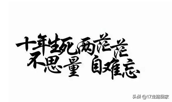 不思量自难忘表达的意思（不思量自难忘是哪首诗）