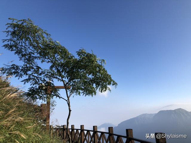 自拍海外生活的视频在线，自拍海外生活的视频在线观看