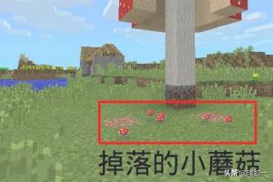 我的世界 蘑菇怎么吃(图3)