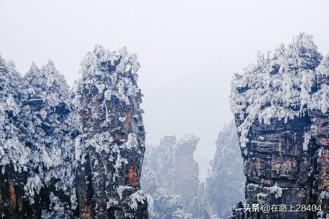 连夜买票到湖南赏雪