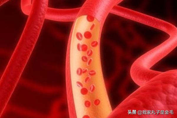 怎样知道自己的血型？：血型在线查询