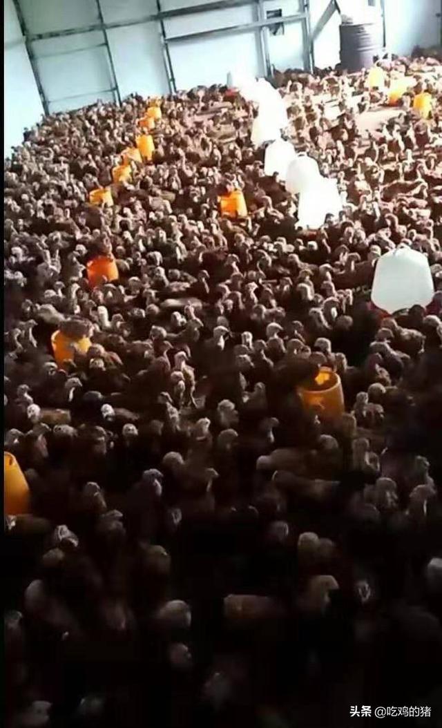 18万现金烧毁