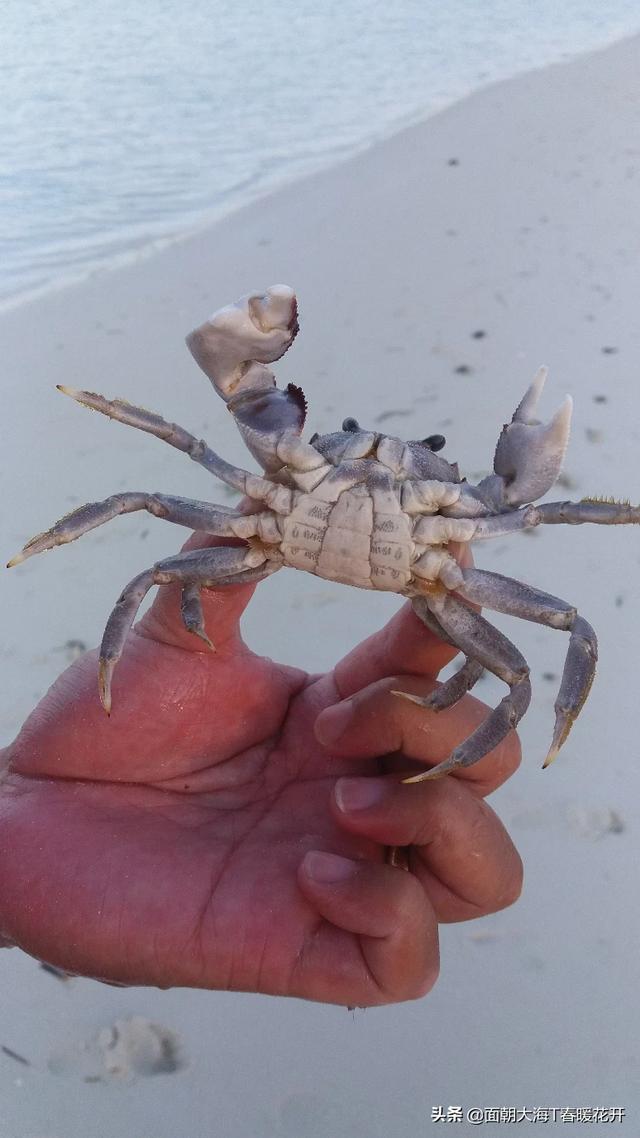 哪里比较好玩。去海边玩