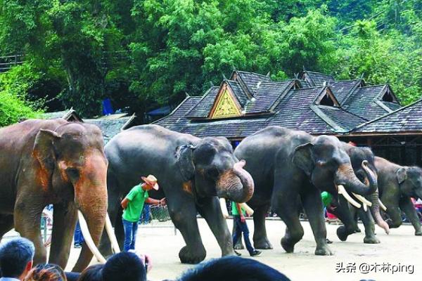 西双版纳景点地图-西双版纳景点地图分布图