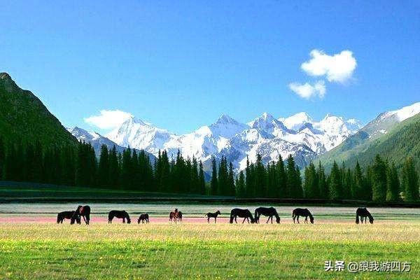什么时候去新疆旅游最合适