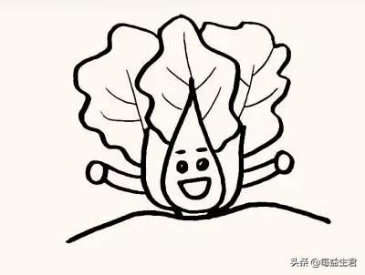 怎么画可以吃的蔬菜卡通(图7)