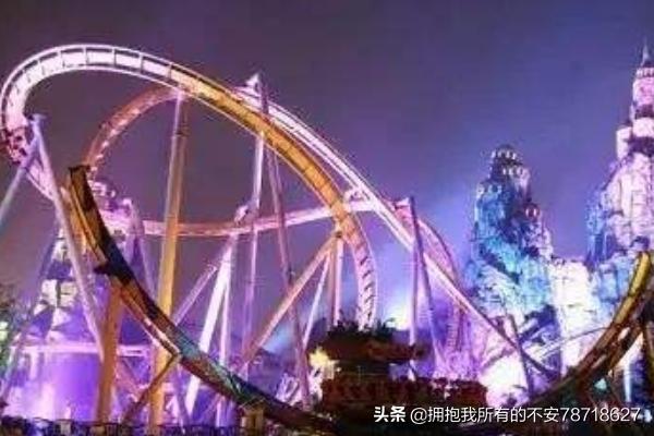 天津哪个公园有的小鸟拍