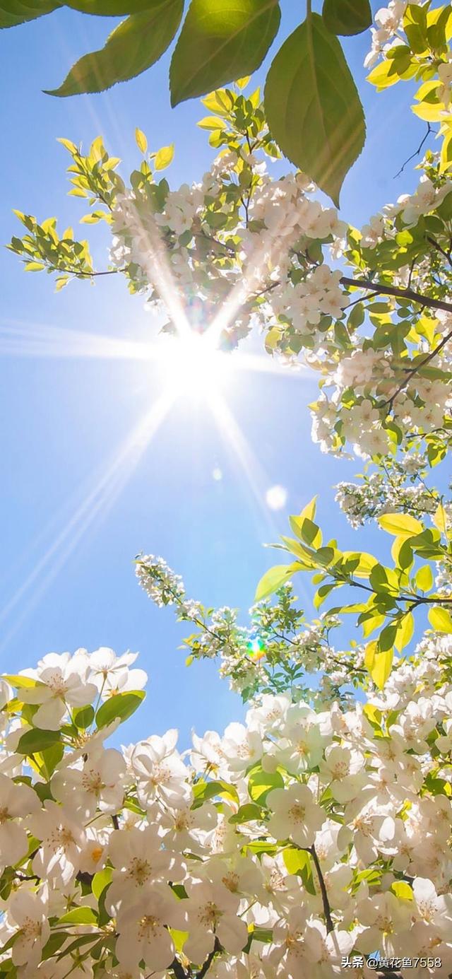 游戏试玩平台app（游戏试玩平台大全）