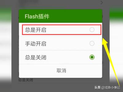 安卓手机5.0以上怎么玩电脑网页上的flash游戏