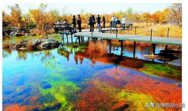 安康市白河县纸飞机账号购买服务