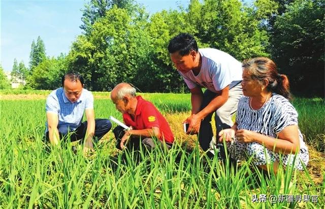 种植员招聘信息，种植员招聘信息怎么写