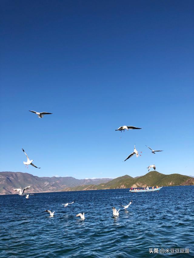 衢州海外生活比较安全，衢州海外生活比较安全的地方