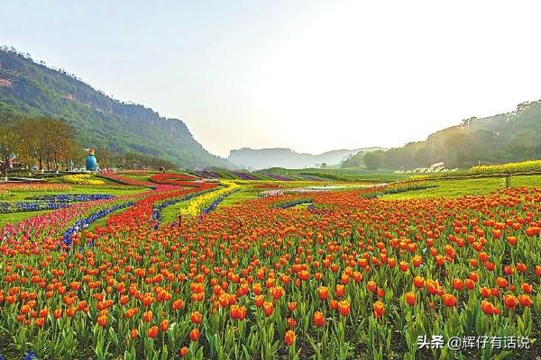 泸州各景点门票价格， 泸州各景点门票价格一览表