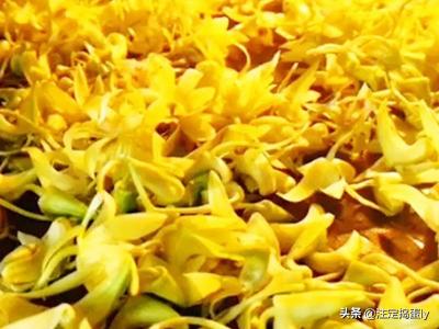 新鲜铁皮石斛花怎么吃(图3)