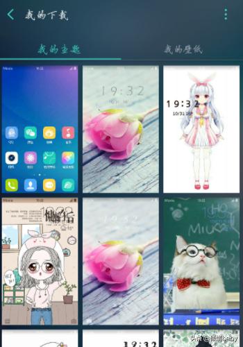 魔秀电脑主题怎么设置 魔秀电脑主题-第6张图片-随然AIR主题