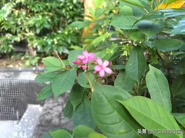 调休后为何那么累呢