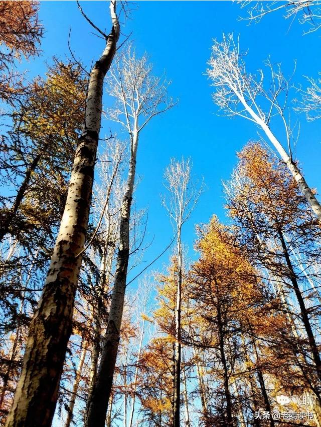 十句让男人最感动的话（聪明女人哄男人的句子）