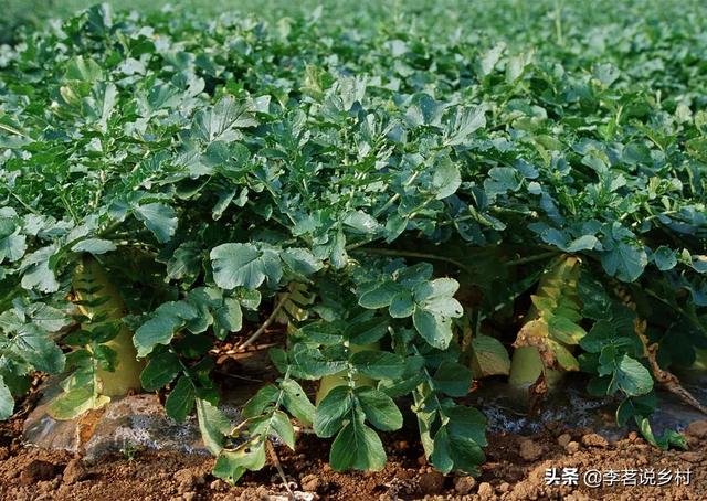 家里安装空气能热水器，热水要打开约一分钟才有，同时用水，热水水流会很小，请问解决办法？：大时间