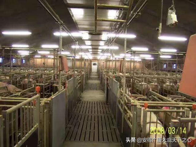 日照饲料厂名单-日照饲料厂名单公示