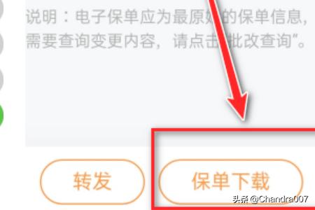 平安车险电子保单查询，中国平安车险电子保单查询