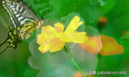 蒙版的作用ps蒙版的作用