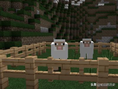 我的世界山羊如何驯服 我的世界山羊吃什么-第5张图片-随然AIR主题