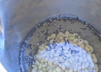 黑芝麻豆浆-黑芝麻豆浆的功效与作用