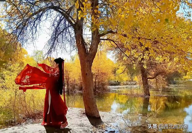 旅交会销售额234亿元_旅交会举办意义？
