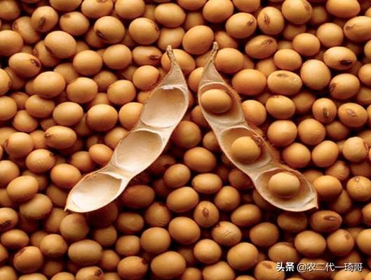 大豆油期货行情-大豆油期货行情走势图