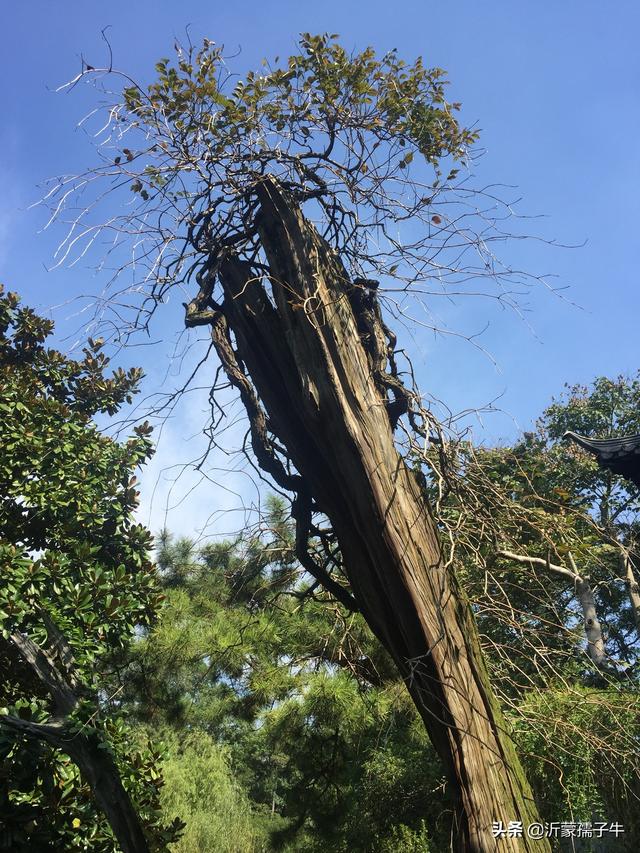 教师个人工作总结简短，教师个人工作总结简短300字