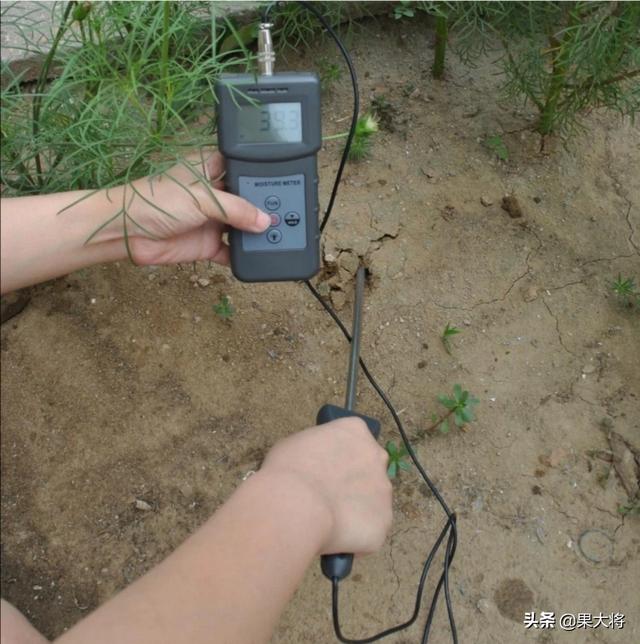 绿化种植土壤取样宜在种植前多久,绿化种植土壤取样宜在种植前多久进行