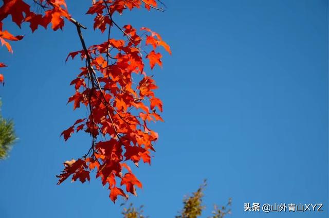 周末去哪旅游,周末去哪旅游比较好