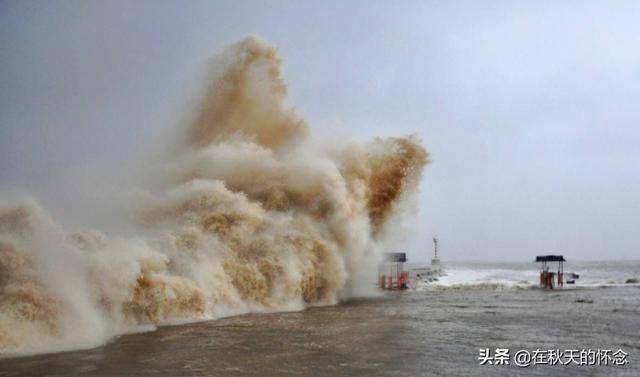 台风风力最大的部位是？：风能到的地方