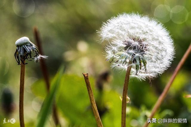 句透人生的哲理短句子（人生哲理的经典句子,看完让你受益匪浅!）