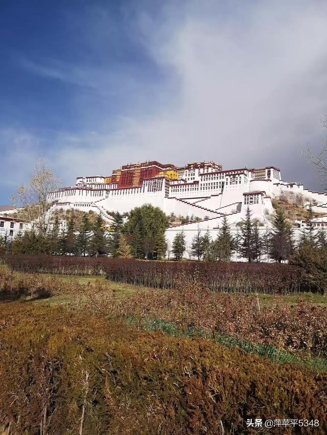 西宁市湟中区纸飞机账号购买服务