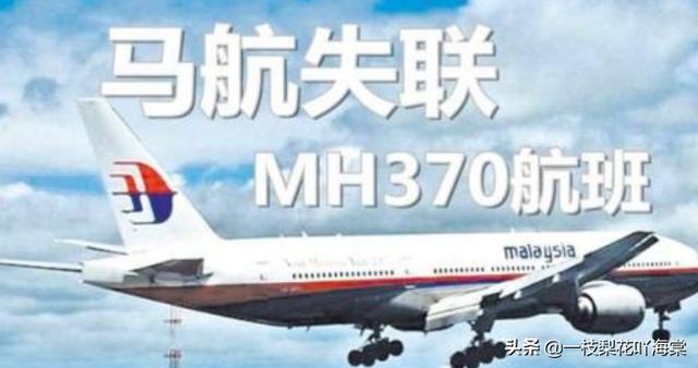 马航事件是哪一年_马航737事件是哪一年
