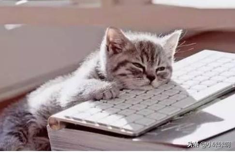 勤劳的反义词（勤劳的近义词）