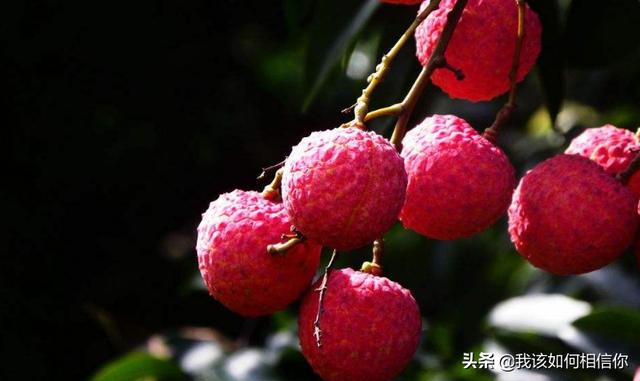 超市买的冷冻水果有哪些(图3)