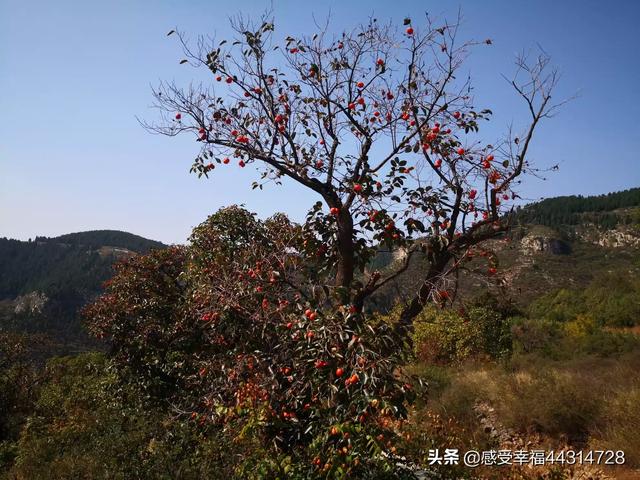 海外生活103，海外生活英文