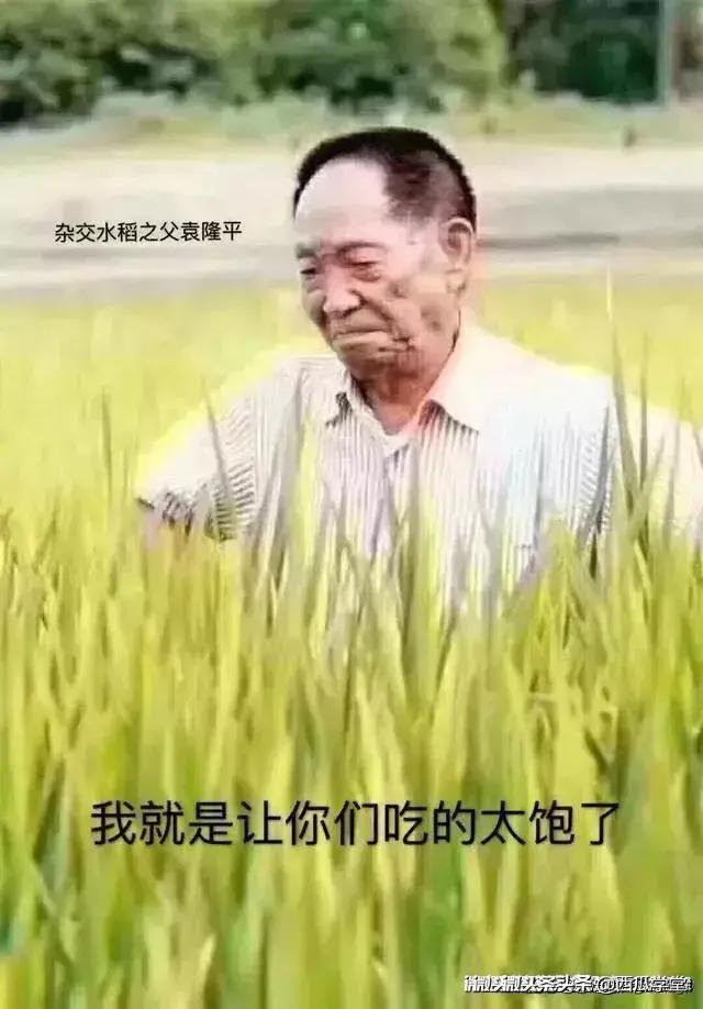 热火吵架（ + ）热火怎么了