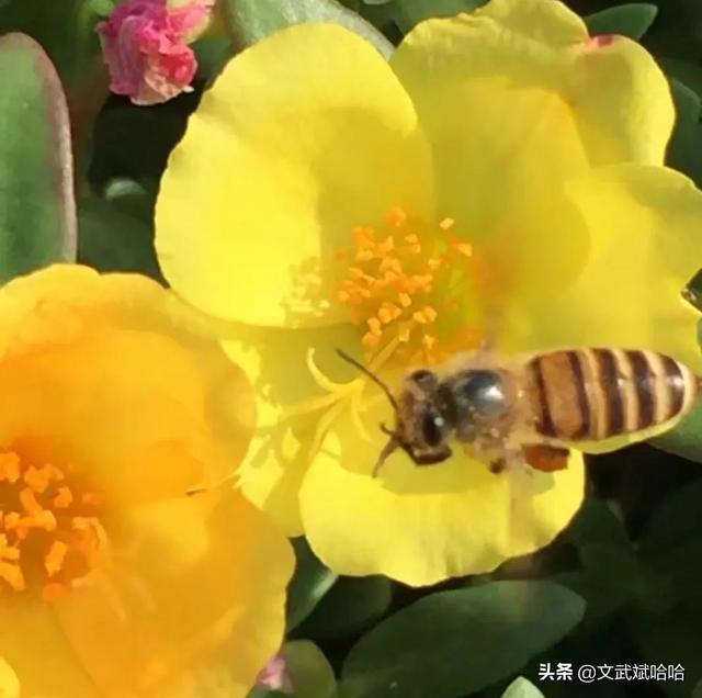 上海到龙虎山旅游攻略，上海到龙虎山旅游攻略路线