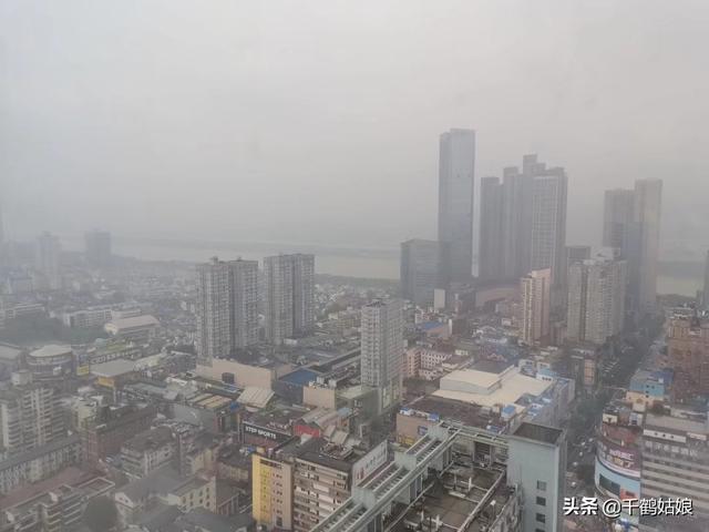 位于湖南长沙市岳麓山的市？