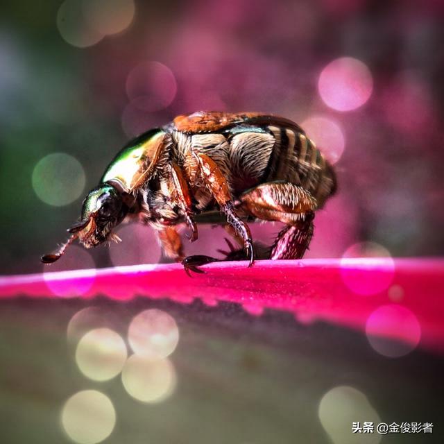 摄影行业资讯，摄影行业资讯网站