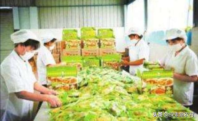 黑龙江省哈尔滨市宾县今日生猪价格-宾县猪价网