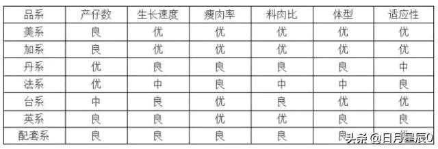 新美系长白种猪价格-新美系长白公猪价格