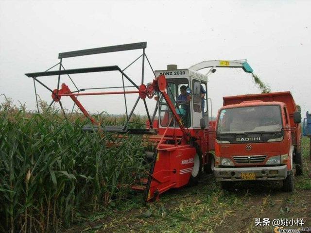 联合收玉米怎么保养(图1)
