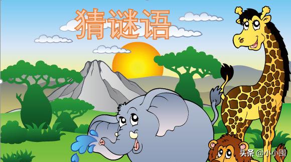 红冠打一肖 一顶芙蓉顶上栽。谜底是什么？