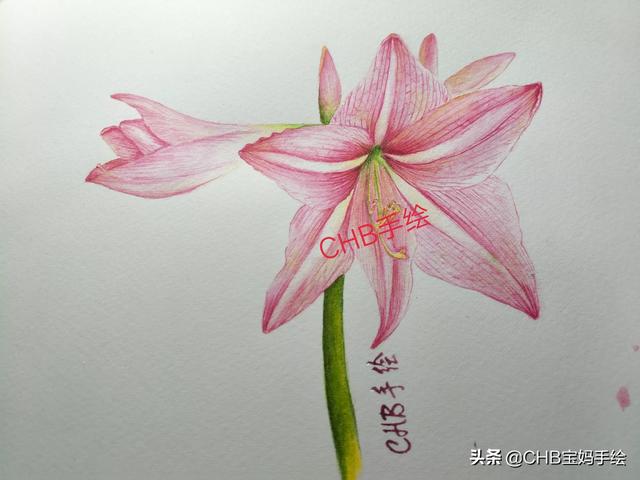 素描绘画技巧和基础知识,素描绘画技巧和基础知识有哪些