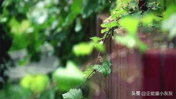 细雨湿衣看不见，闲花落地听无声的意思及他的深刻含义？：细雨湿衣看不见