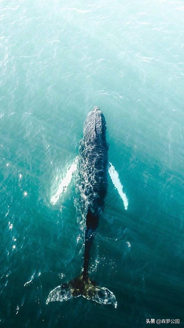 摄影入门教程从零开始学摄影